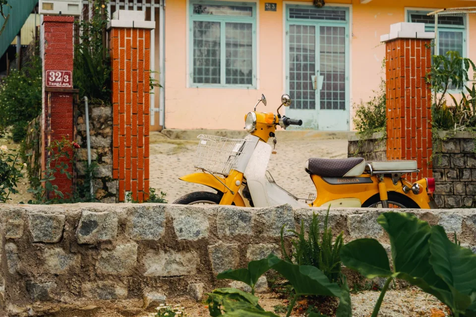 Hình ảnh tại Phương Thị Tâm 1966 6